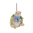 Timmy Turtle Ornament