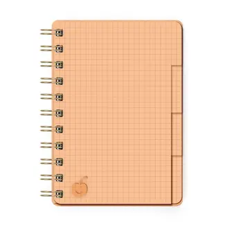 Bingsu Acrylic Notebook Mango