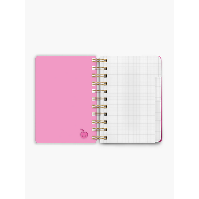 Bingsu Acrylic Notebook Strawberry