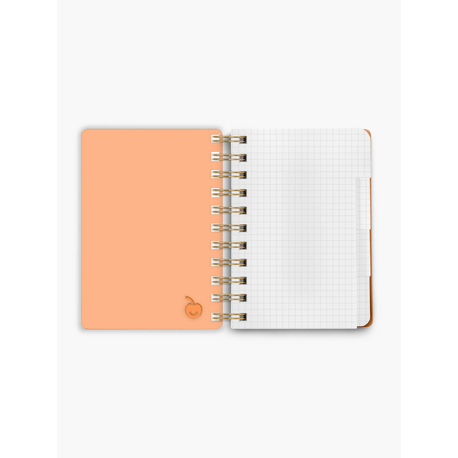 Bingsu Acrylic Notebook Mango