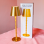 LED Portable Cordless Gold Bamboo Lamp in Gift Box