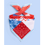 America Patriotic Bandana