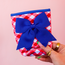 Patriotic Picnic Iced Cup Coolie (Medium)