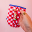 Patriotic Picnic Iced Cup Coolie (Medium)