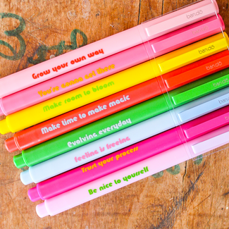 Bando Write On Felt Tip Pen Set - Assorted