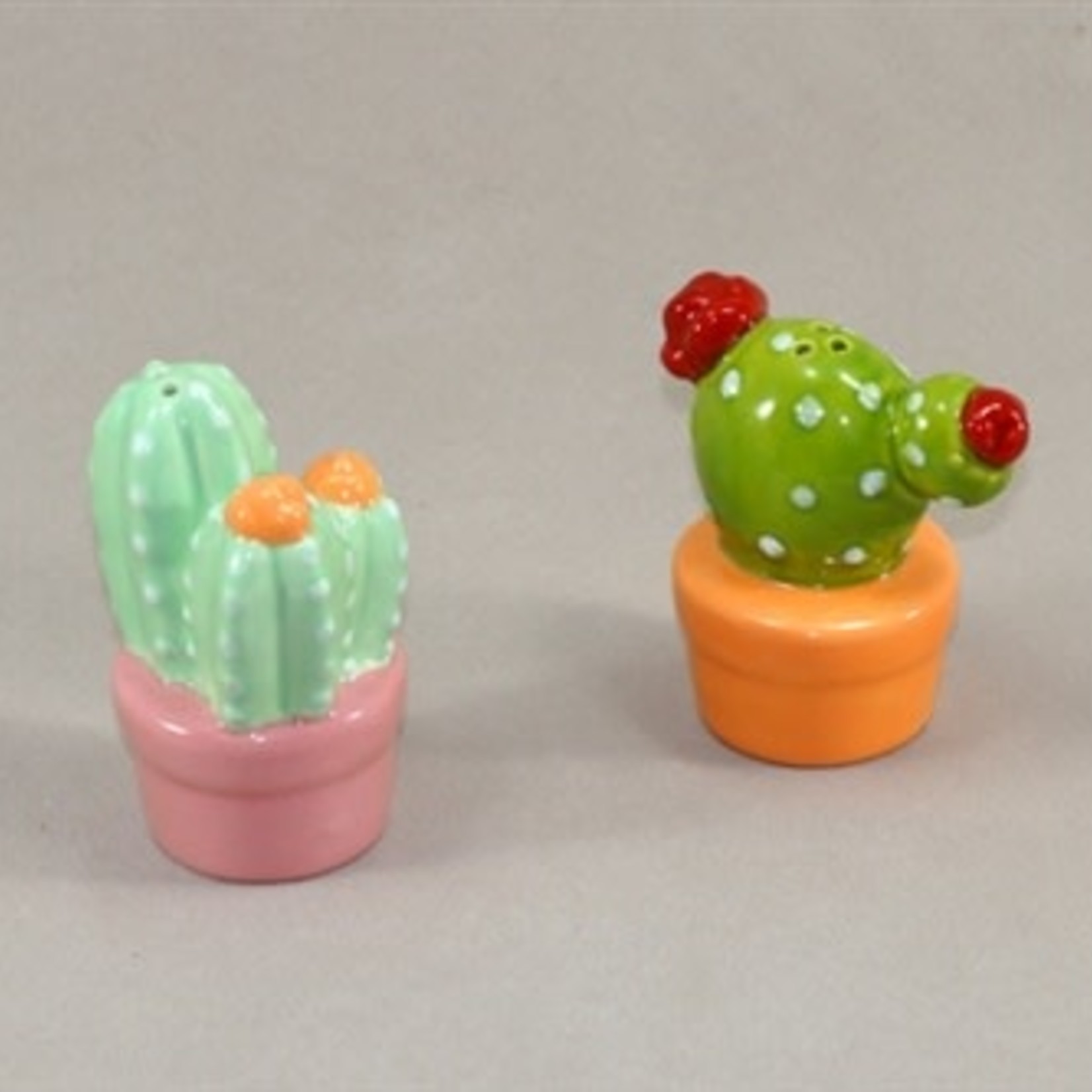Cactus Salt & Pepper - 2-1/2"x 2"x 3-1/4"