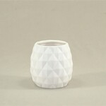 Pineapple Pot - 3H x 3D