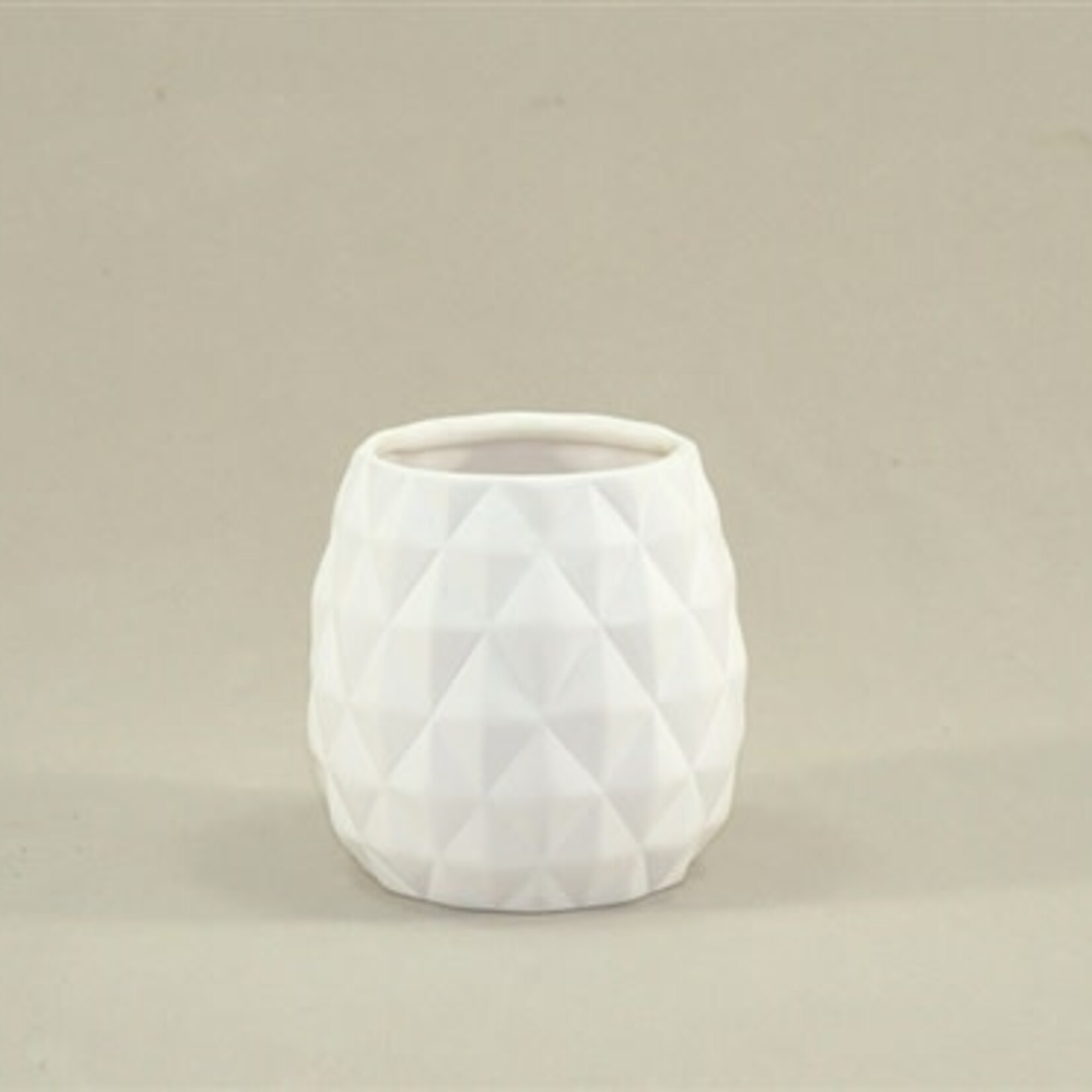 Pineapple Pot - 3H x 3D