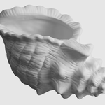 Conch Shell Planter - 7 ¼" L x 4" W x 3 ¾" H