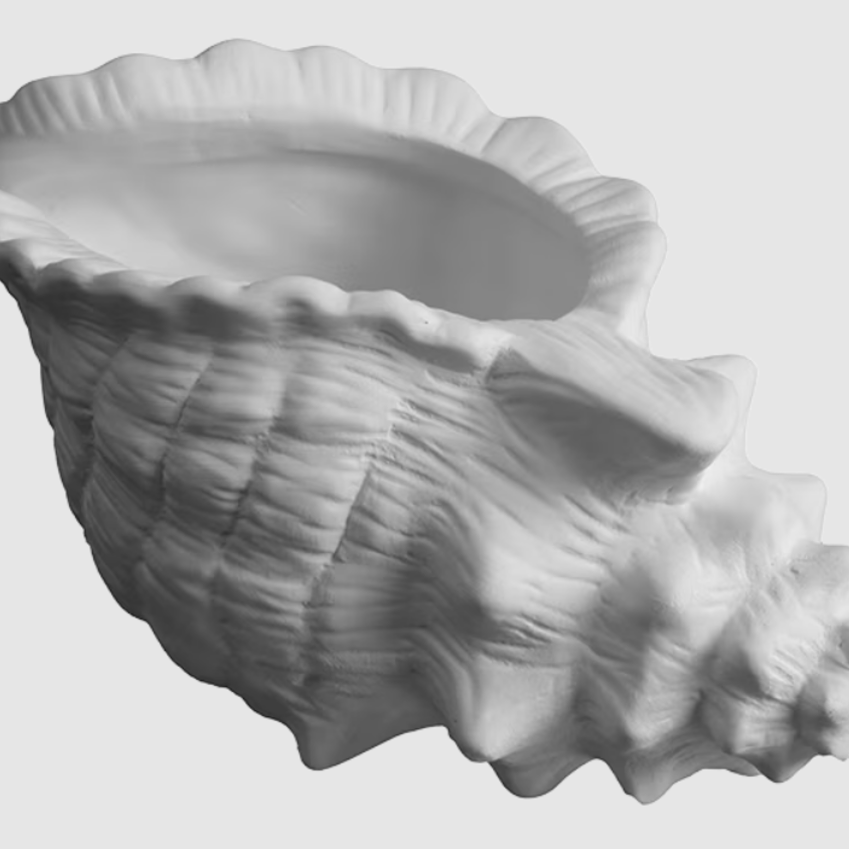 Conch Shell Planter - 7 ¼" L x 4" W x 3 ¾" H