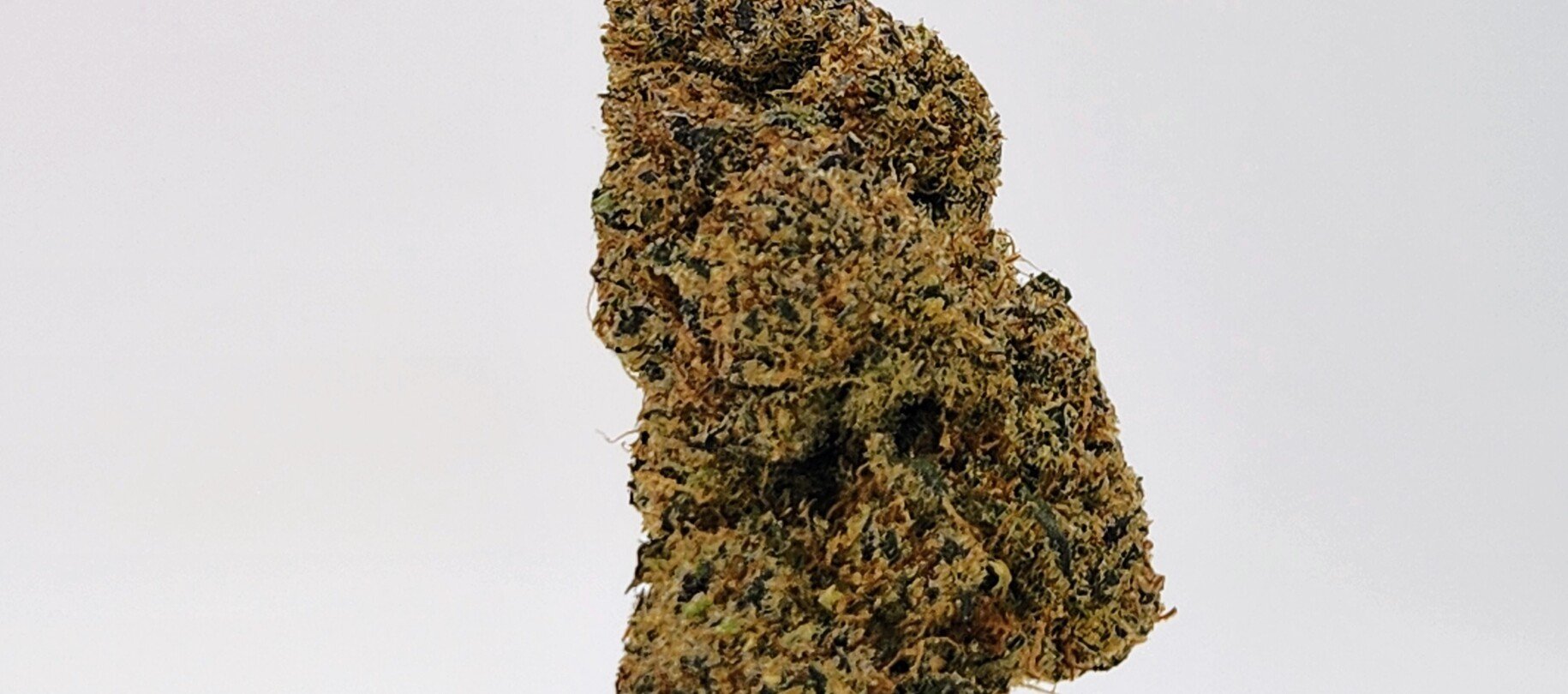CBD Flower