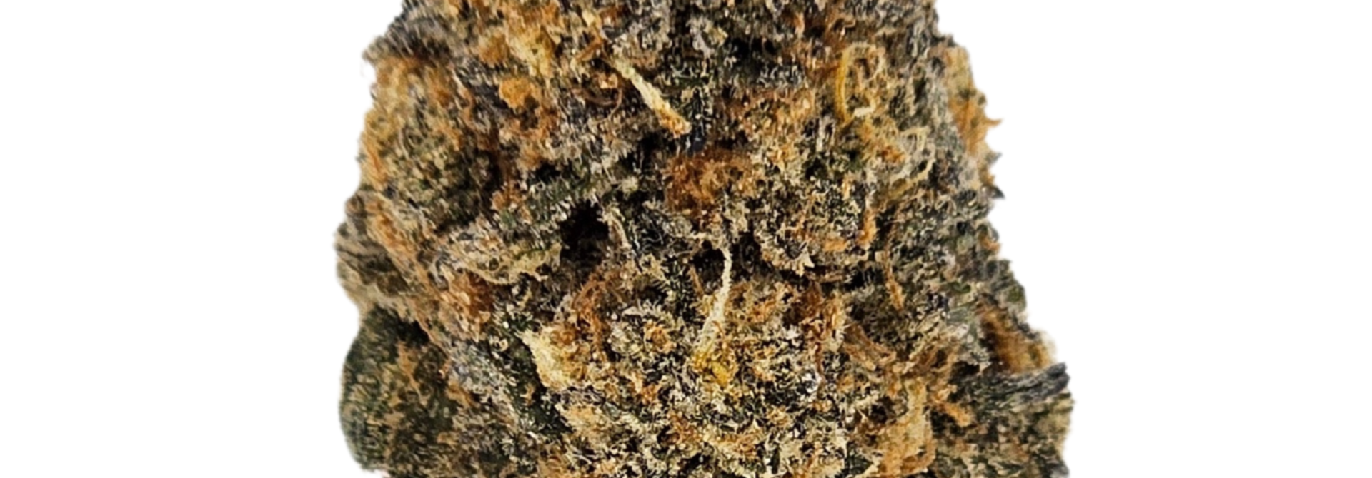 Purple Milk (Hybrid)