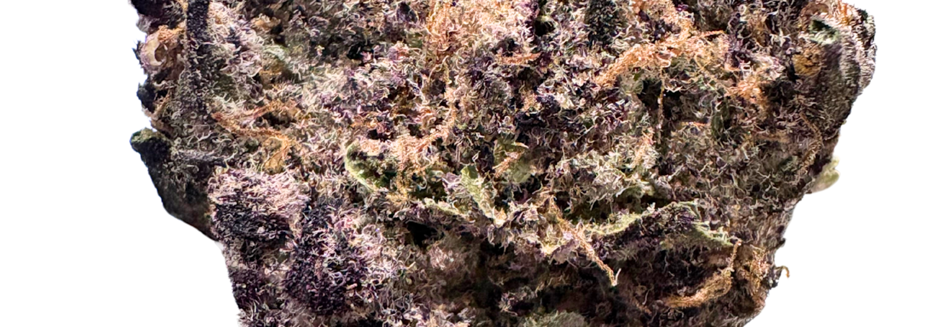 Super Boof (Hybrid) 2g EXOTIC