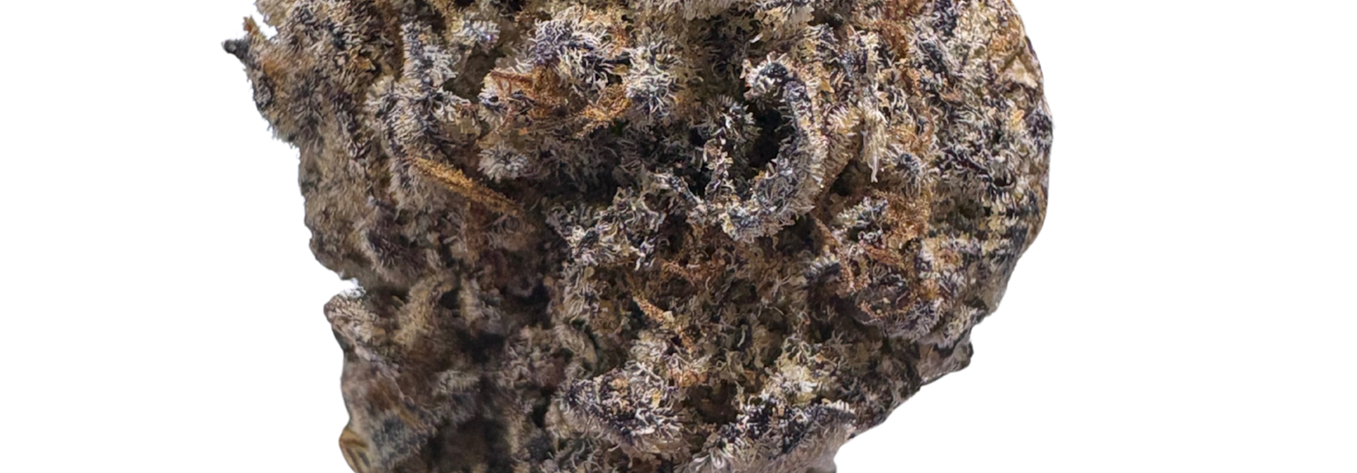 Purple Cream - 2g