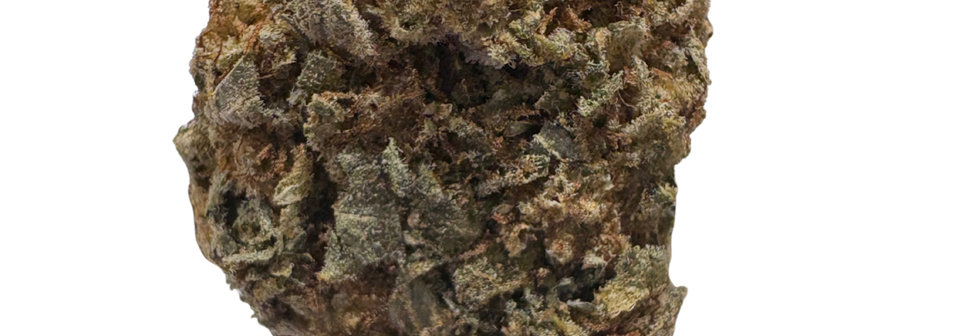 Jet Fuel - 2g