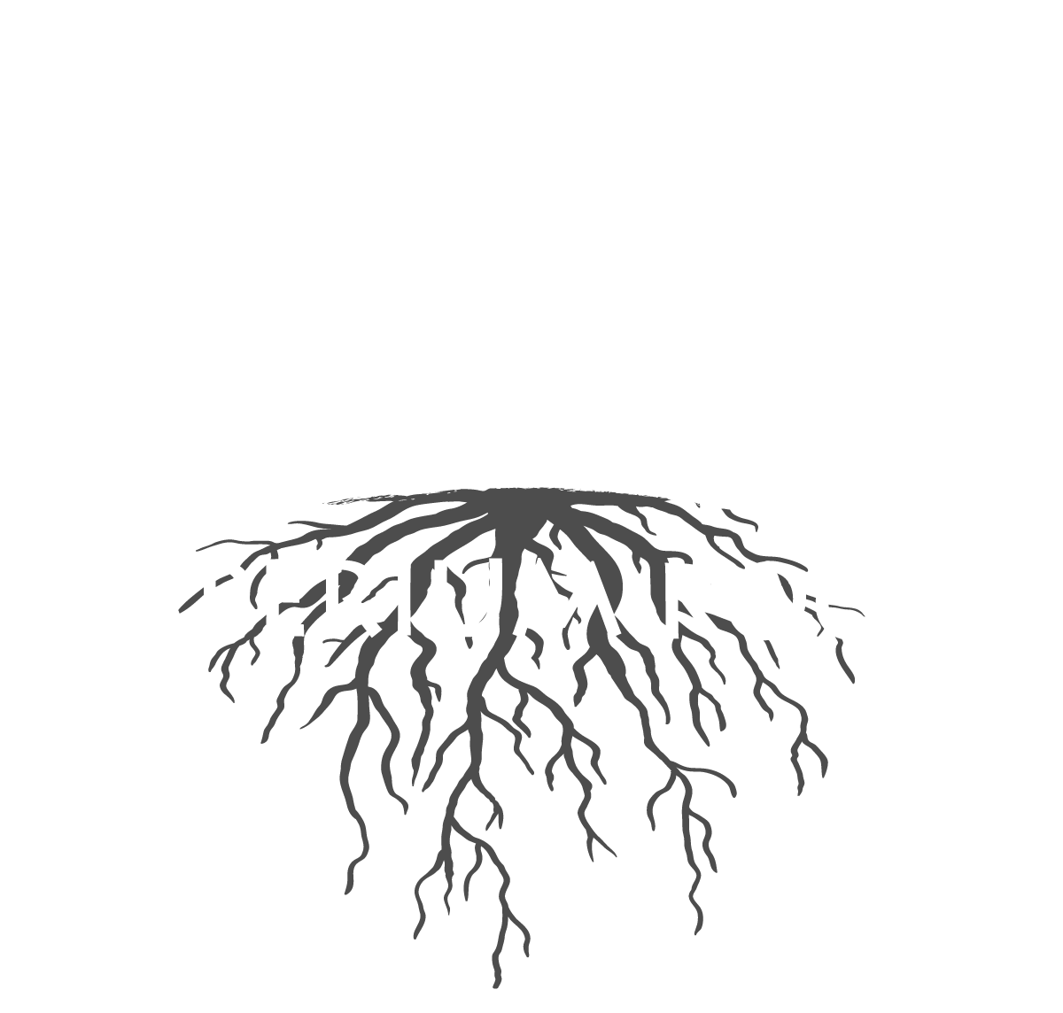 Imperium Roots - Premium Indoor Hemp