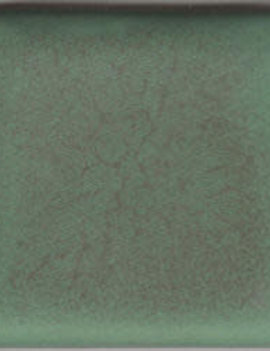 Coyote Coyote Green Matt 047