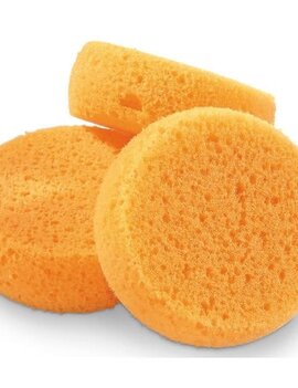 The Sponge Company 2.5" Synthetic Sponge