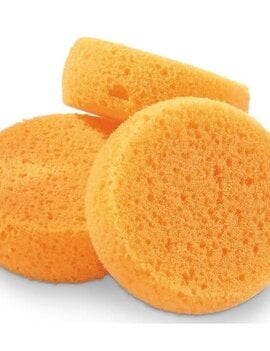 The Sponge Company 2.75" Synthetic Sponge
