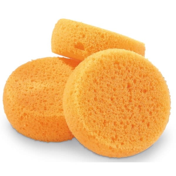 Agean Sponge Hydra Sponge 3.5" - Large