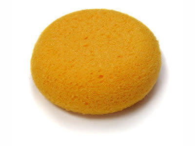 Agean Sponge Hydra Sponge 3.5" - Large