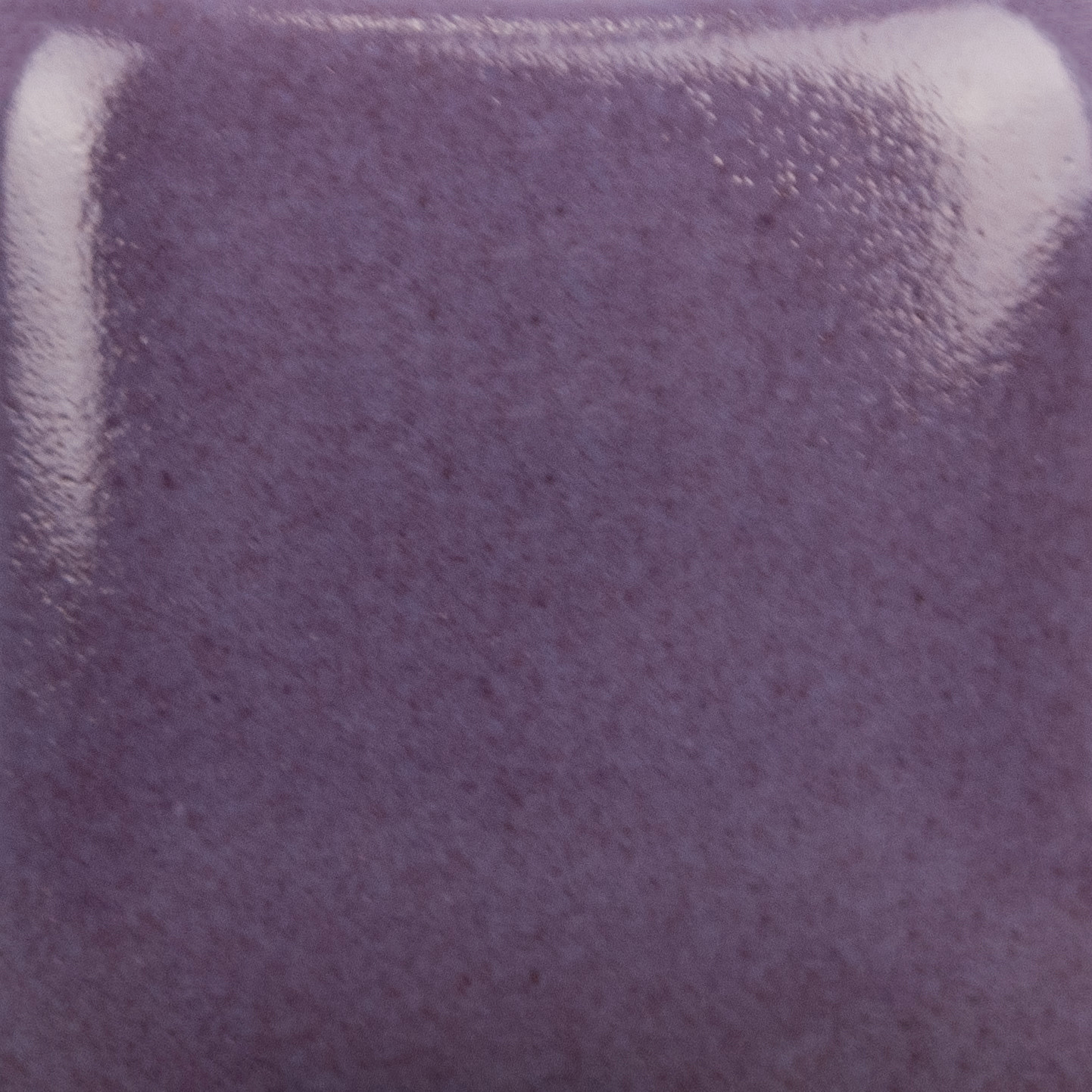Mayco SC-040 Blueberry Hill Stroke & Coat Pint