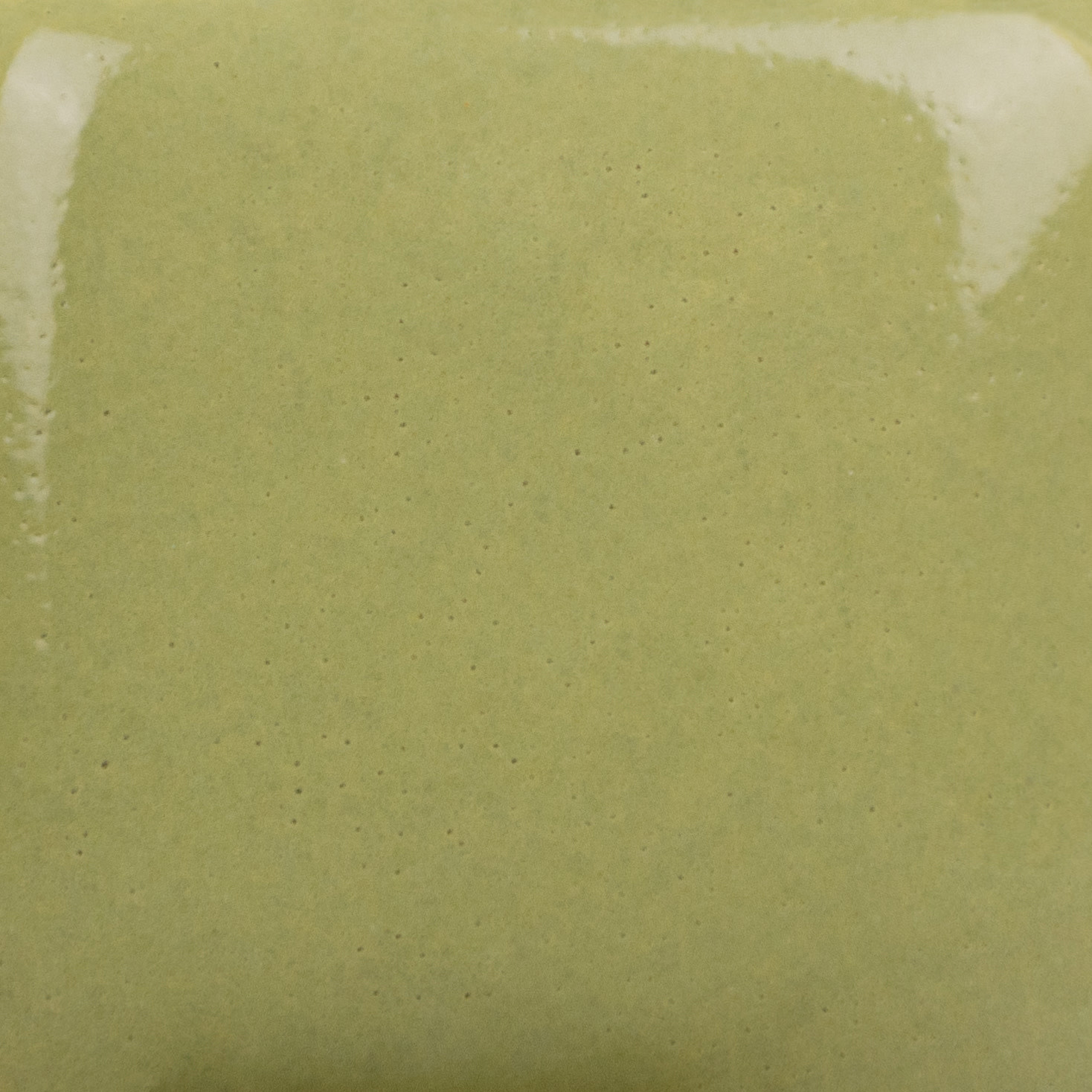 Mayco SC-079 It's Sage Stroke & Coat Pint