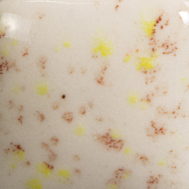 Mayco SG-703 Autumn Speckta-Clear Pint