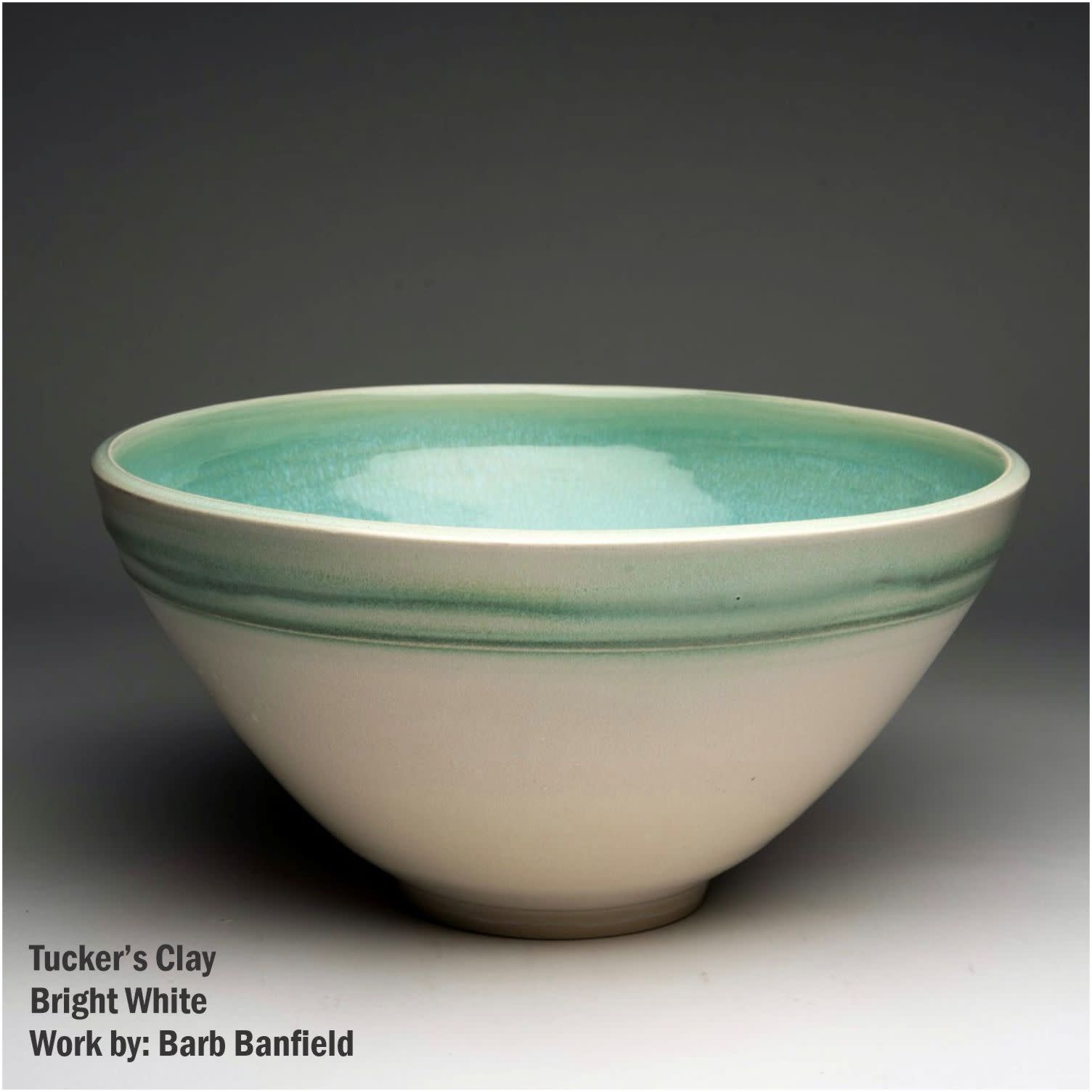 Tucker's Clay Bright White Clay Cone 6 Porcelain