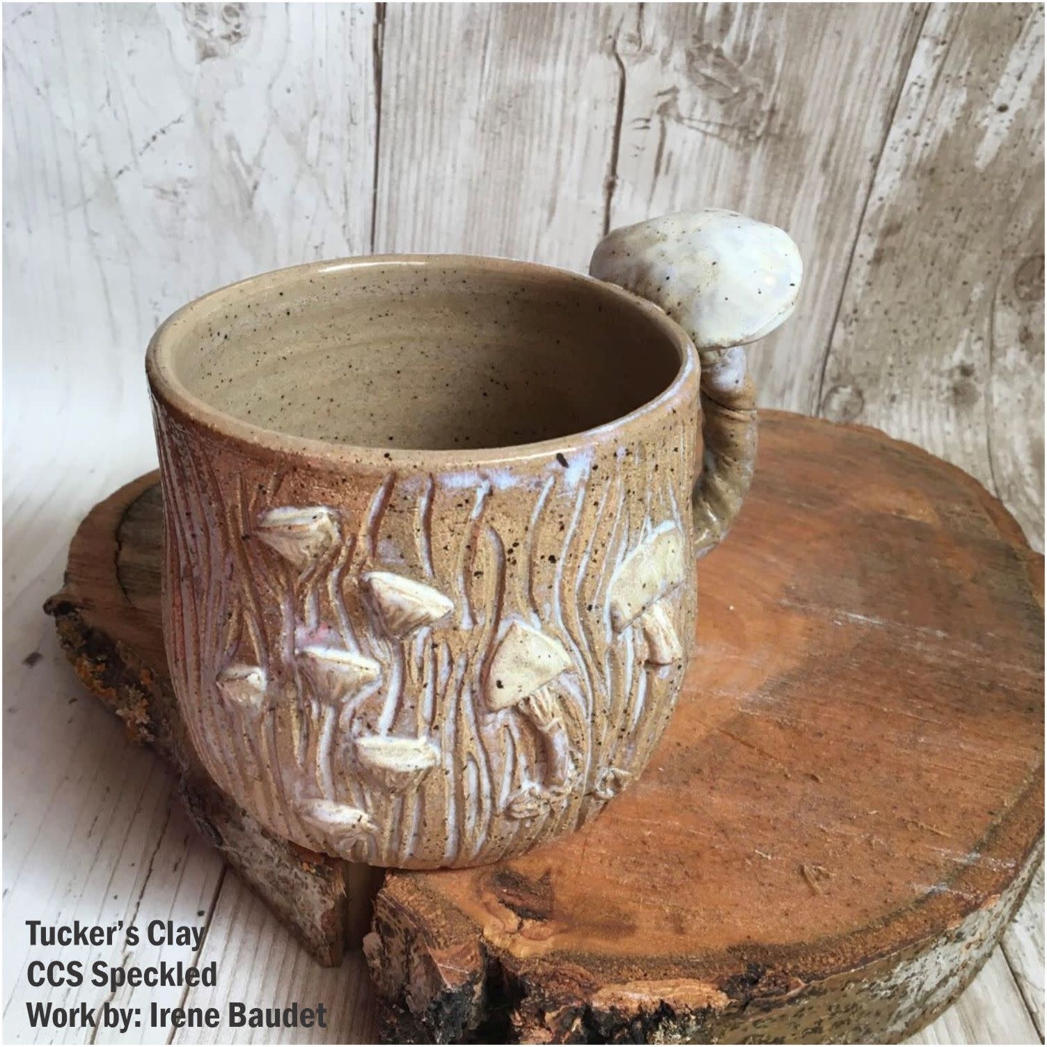 Tucker's Clay CCS Speckled Clay Cone 6 Stoneware