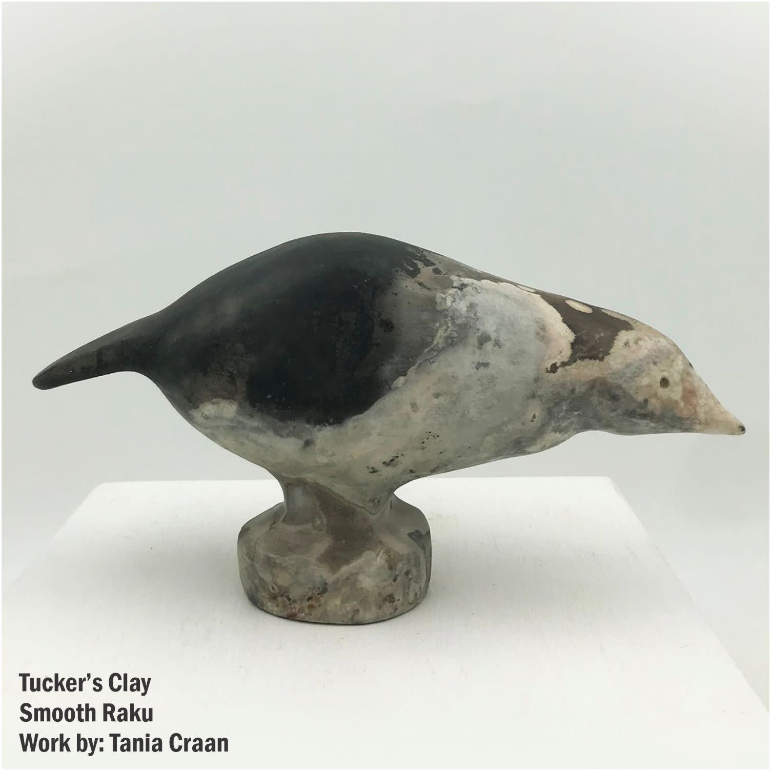 Tucker's Clay Smooth Raku Clay Raku