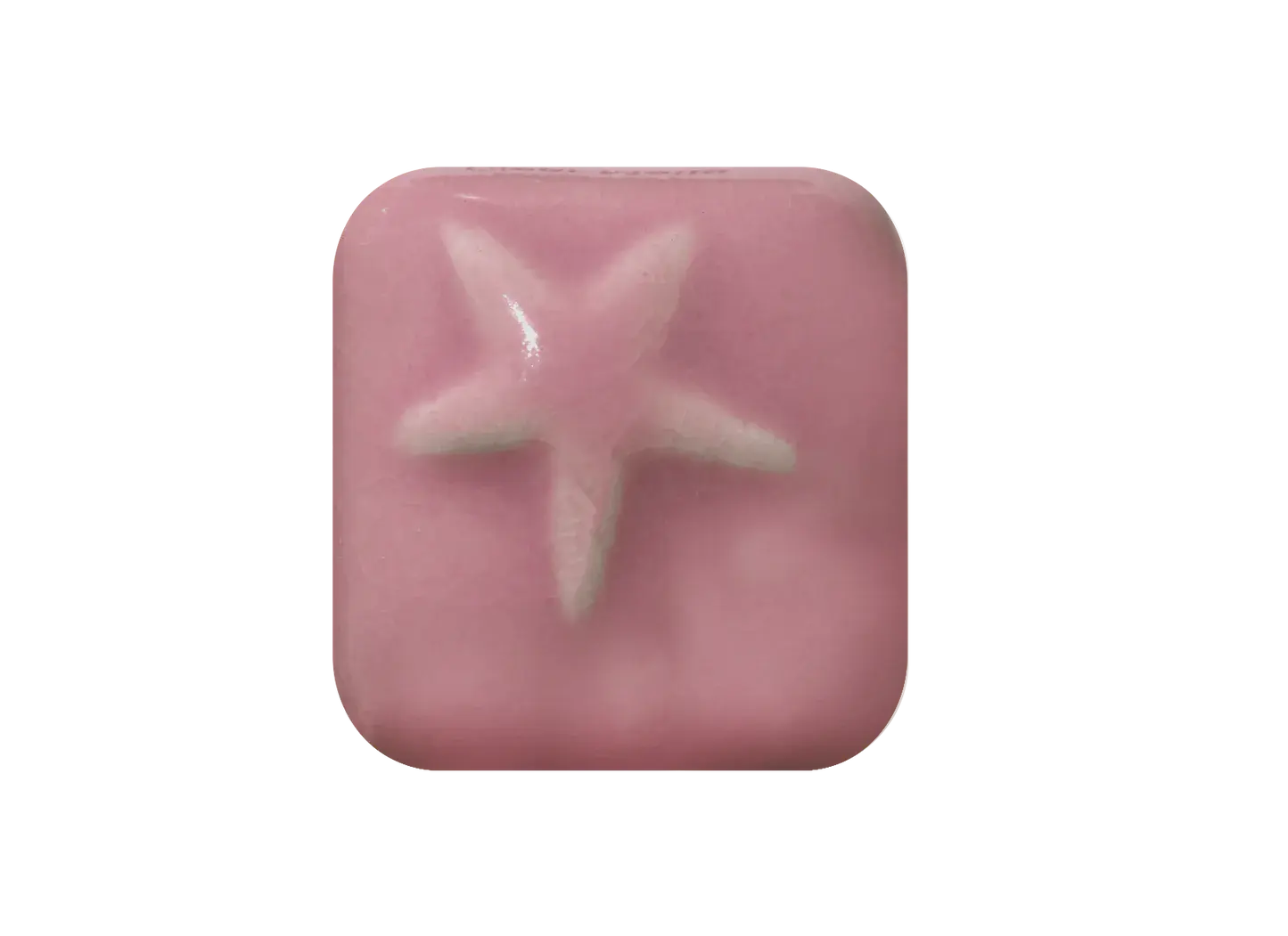 Laguna Clay Company MS-306 Versa-5 Pink Pint