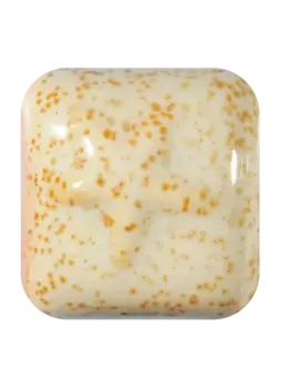 Laguna Clay Company RG-1 Mushroom Rainforest Pint