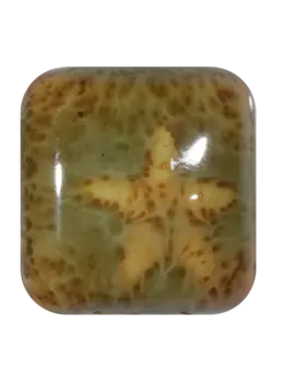 Laguna Clay Company RG-7 Tree Frog Rainforest Pint