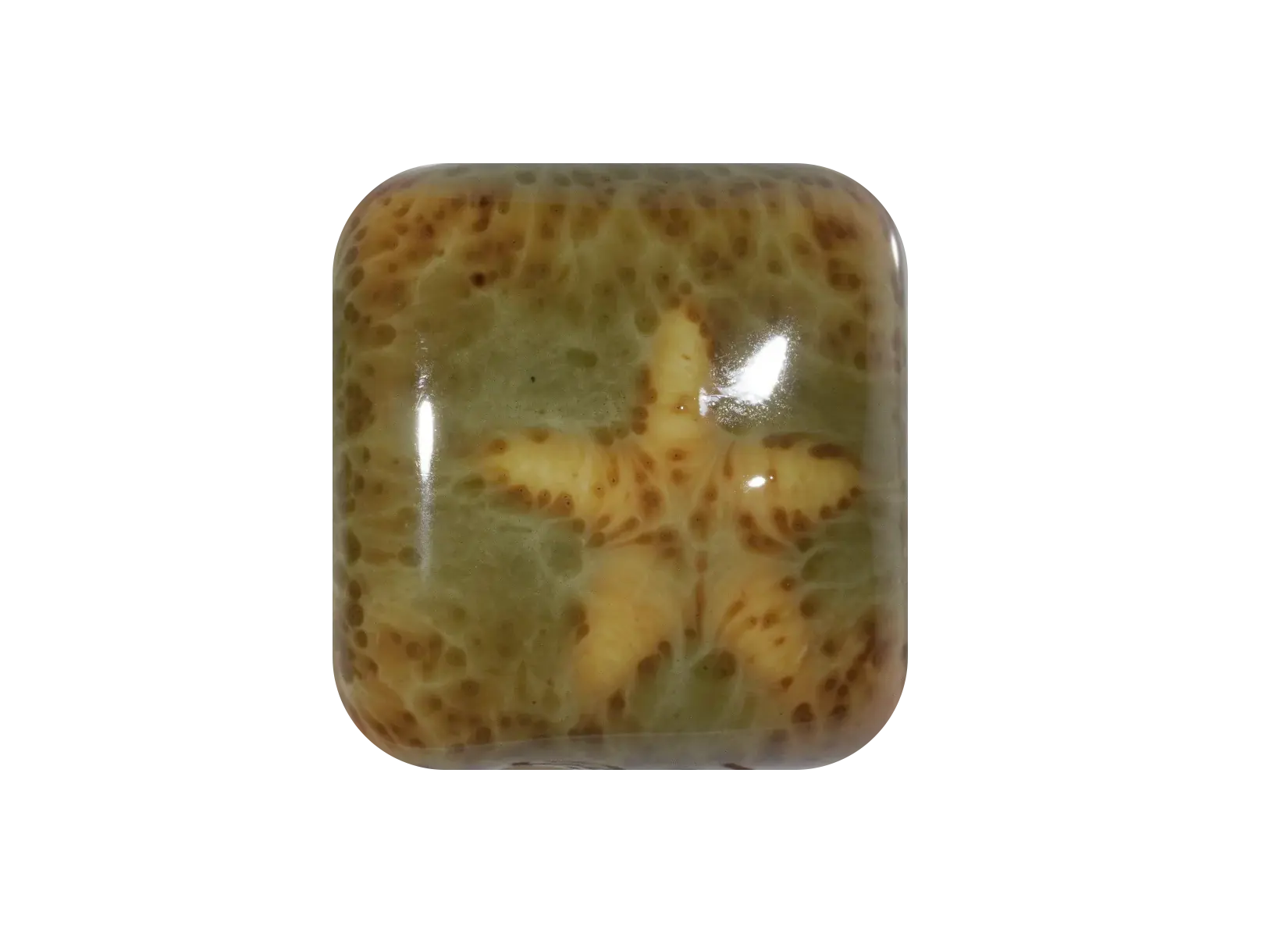 Laguna Clay Company RG-7 Tree Frog Rainforest Pint