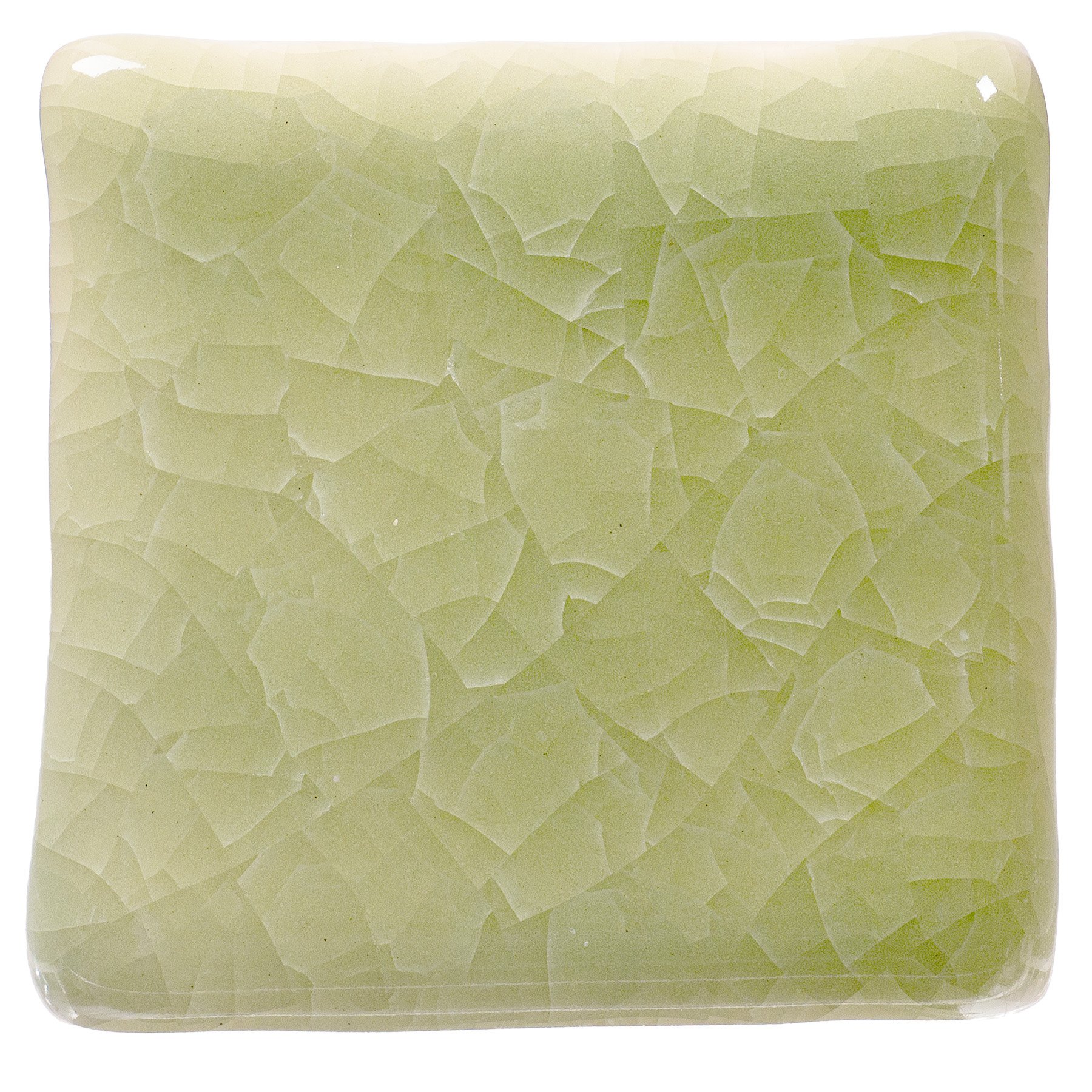 Amaco KI-46 Frozen Fern - Pint