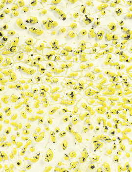 Amaco CR-61 Speckled Yellow - Pint