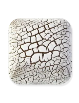 Laguna Clay Company DL-100 Dry Lake Fossil White Pint