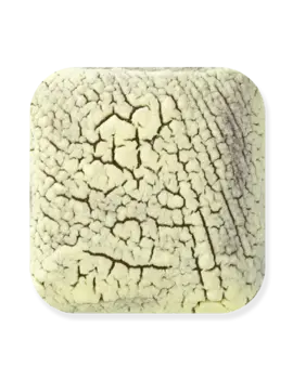 Laguna Clay Company DL-110 Dry Lake Sulfur Vent Yellow Pint