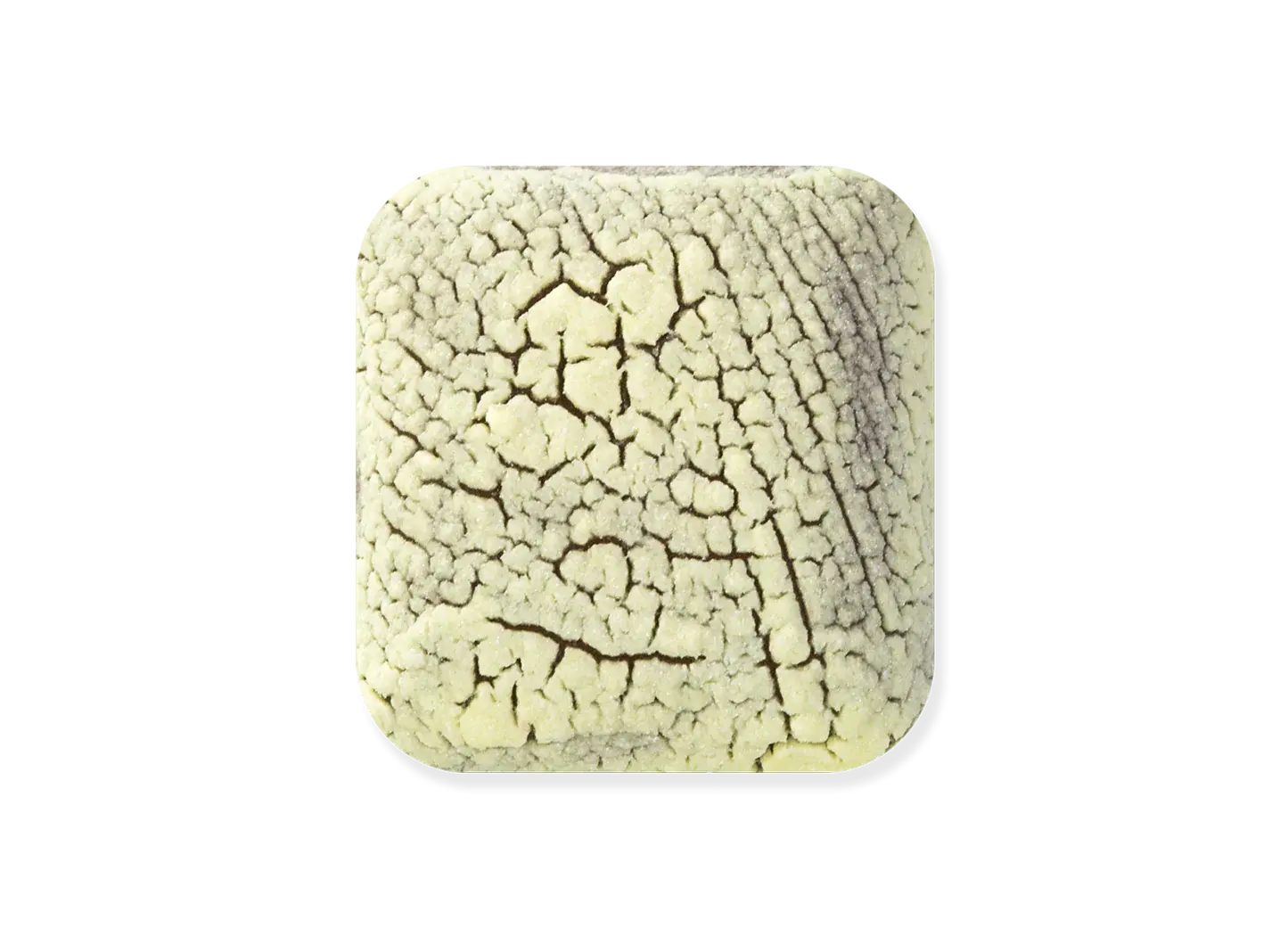 Laguna Clay Company DL-110 Dry Lake Sulfur Vent Yellow Pint