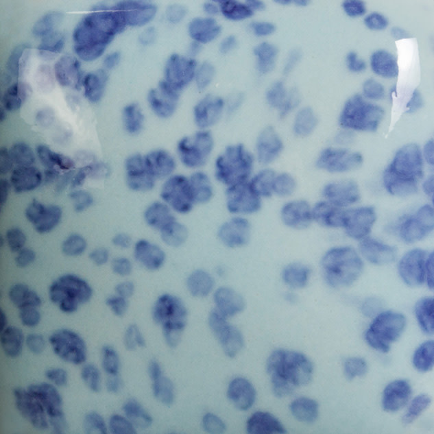 Mayco SP-245 Speckled My Blue Heaven Stroke & Coat Pint