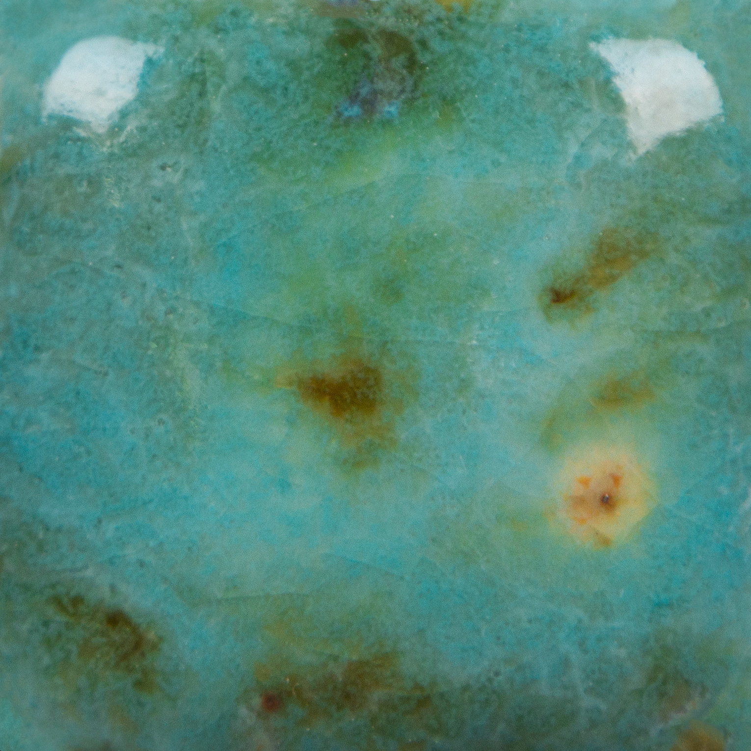 Mayco CG-1008 Blue Guppy Jungle Gems Pint