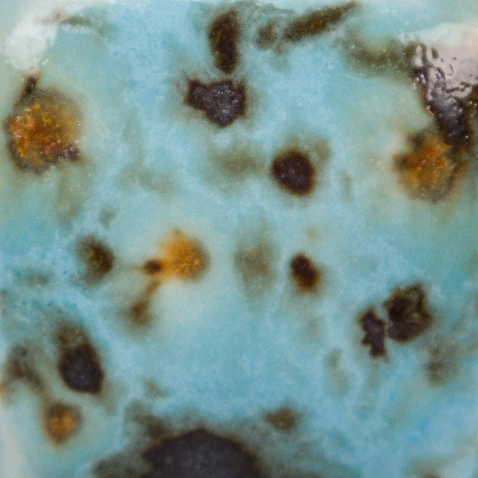 Mayco CG-1008 Blue Guppy Jungle Gems Pint