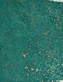 Coyote Coyote Basilisk Hide 229 Pint