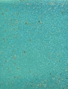 Coyote Coyote Mermaid Cove 225 Pint