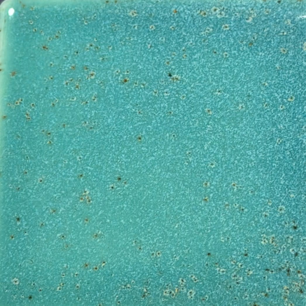 Coyote Coyote Mermaid Cove 225 Pint