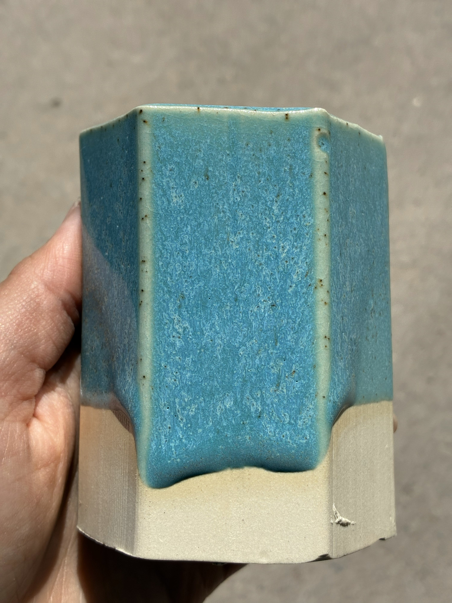 Coyote Coyote Mermaid Cove 225 Pint