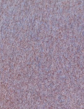 Coyote Coyote Pixie Wings 224 Pint