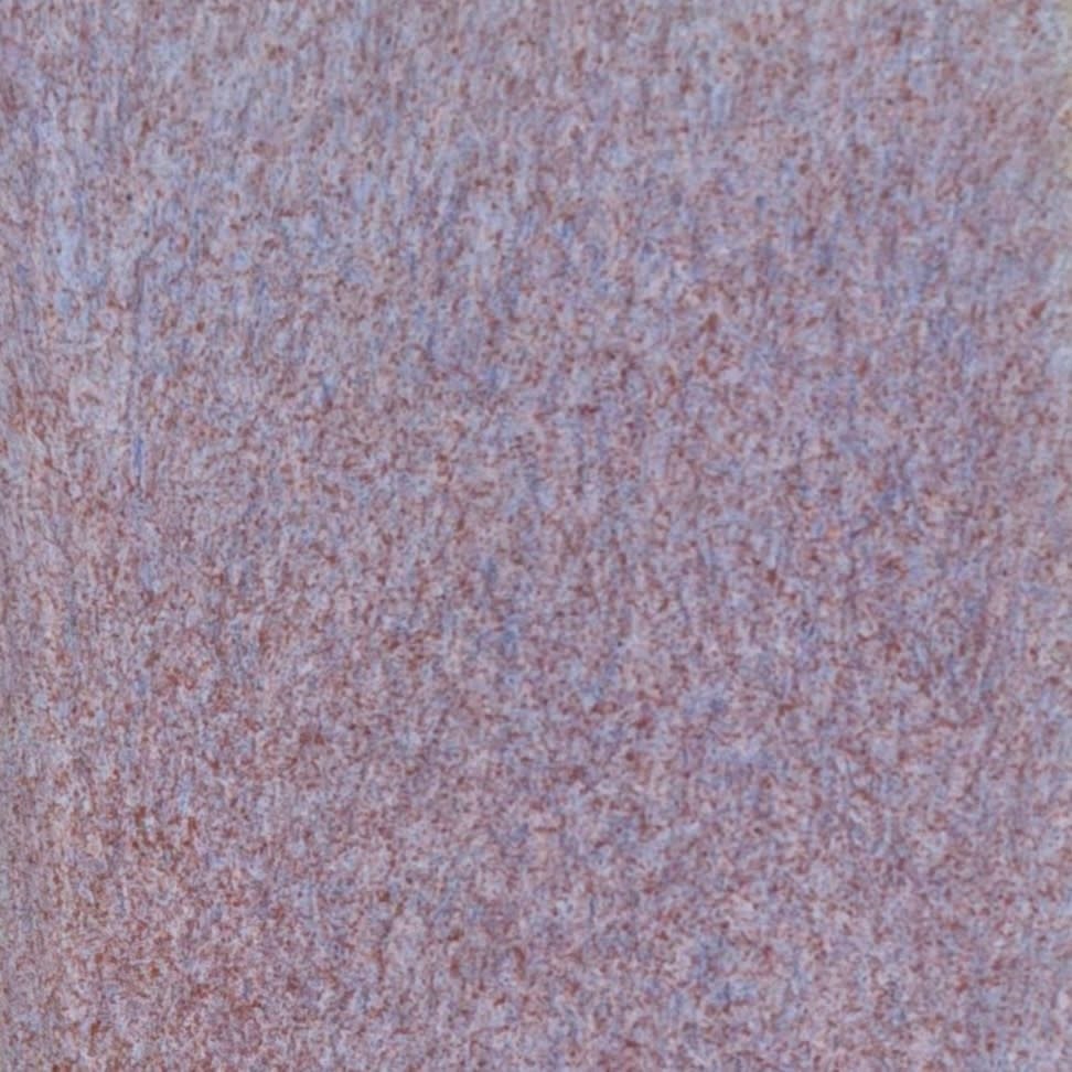 Coyote Coyote Pixie Wings 224 Pint