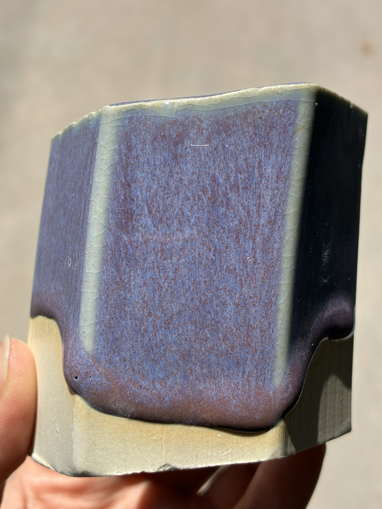 Coyote Coyote Pixie Wings 224 Pint